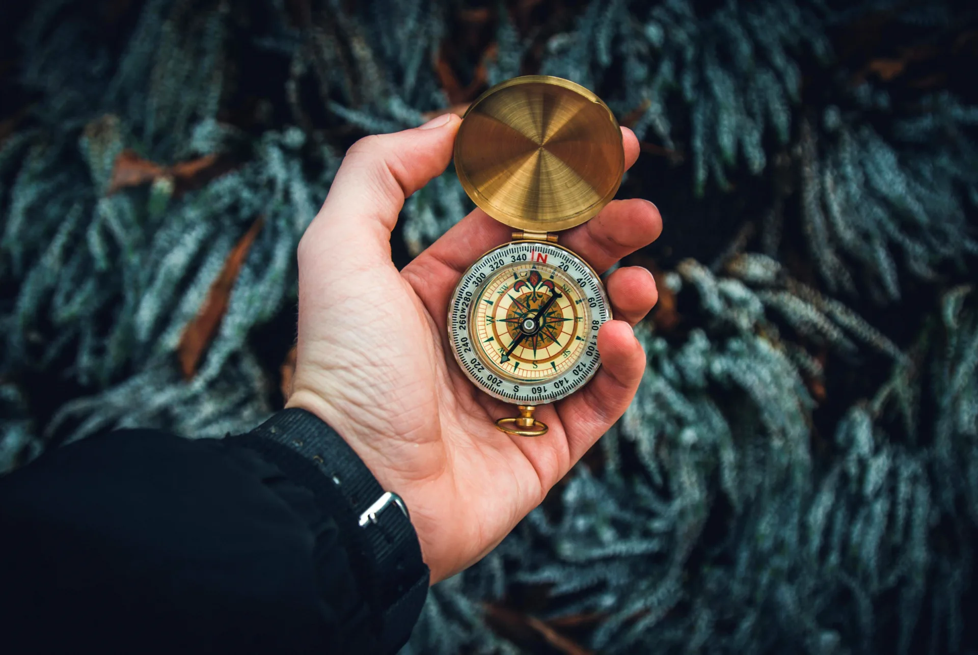 Navegando no Labirinto do Turismo: O Papel Estratégico da Consultoria ao Alavancar Tendências e Informações Públicas