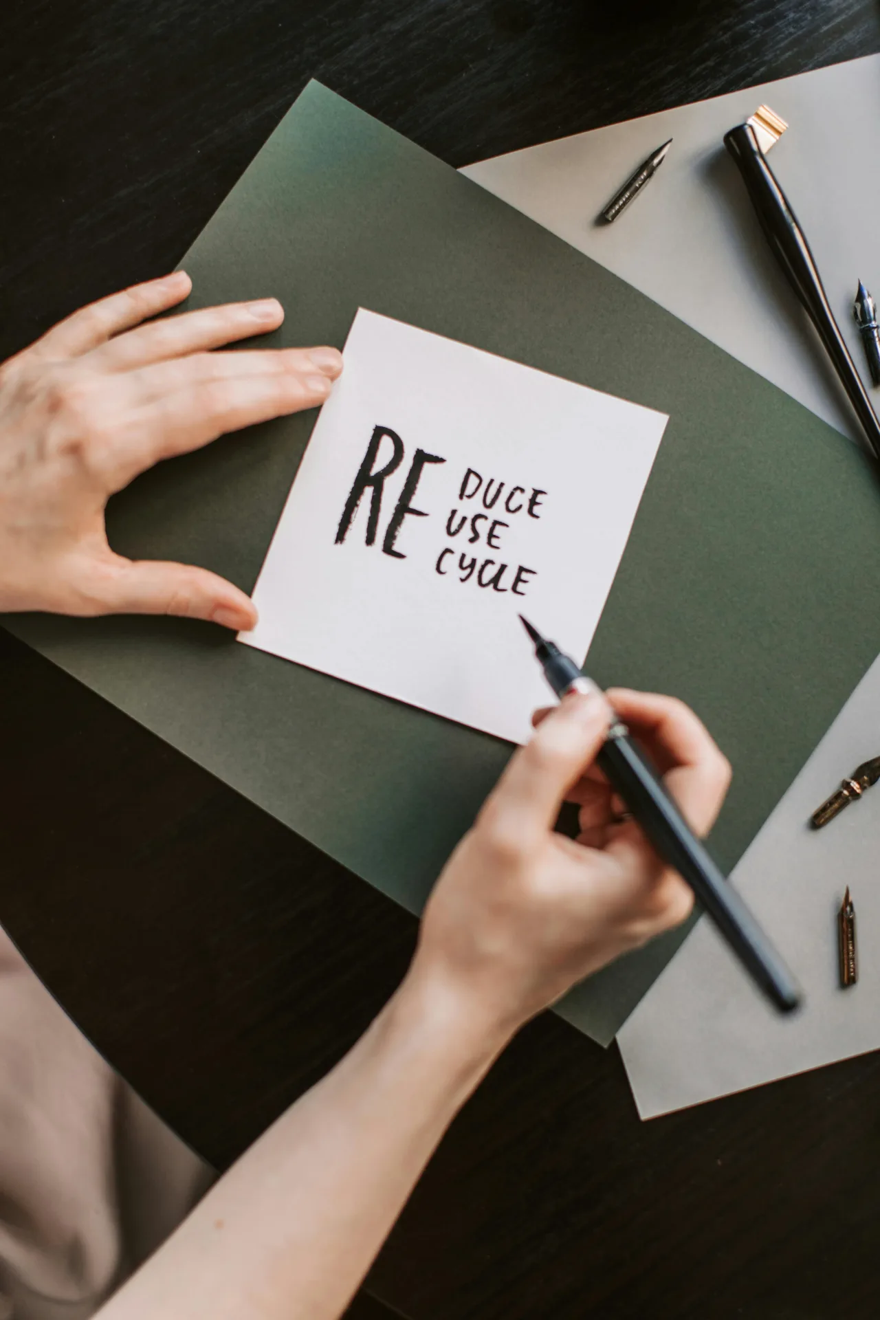 Sustentabilidade como Vantagem Competitiva: Atraindo o Viajante Consciente