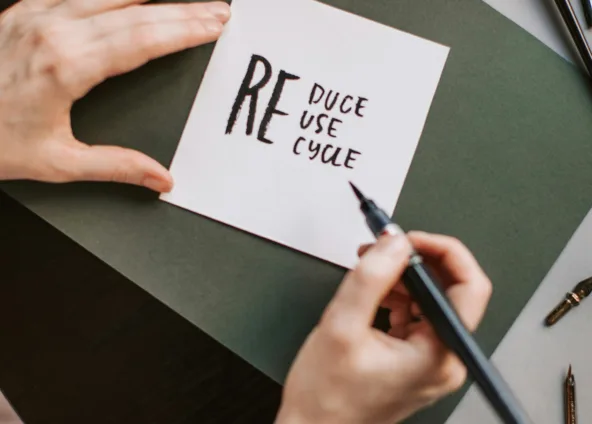 Sustentabilidade como Vantagem Competitiva: Atraindo o Viajante Consciente